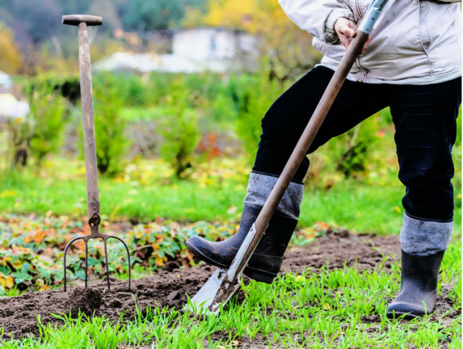 Работа в саду.jpg Работа в саду.jpg