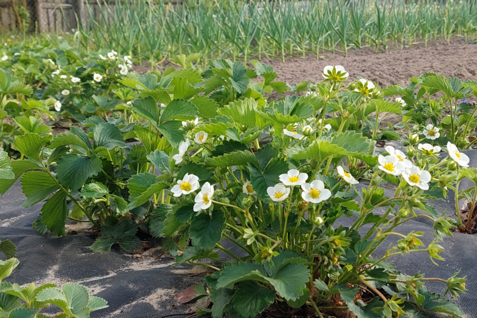 PSX_20240514_220724.jpg PSX_20240514_220724.jpg