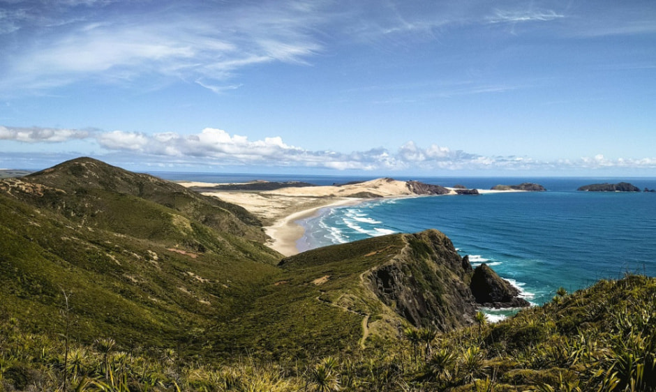 новая зеландия.jpg