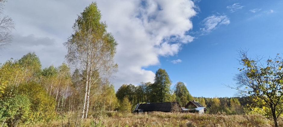 Оранжевый уровень опасности из-за тумана объявлен в Беларуси 26 октября — прогноз погоды на субботу.jpg
