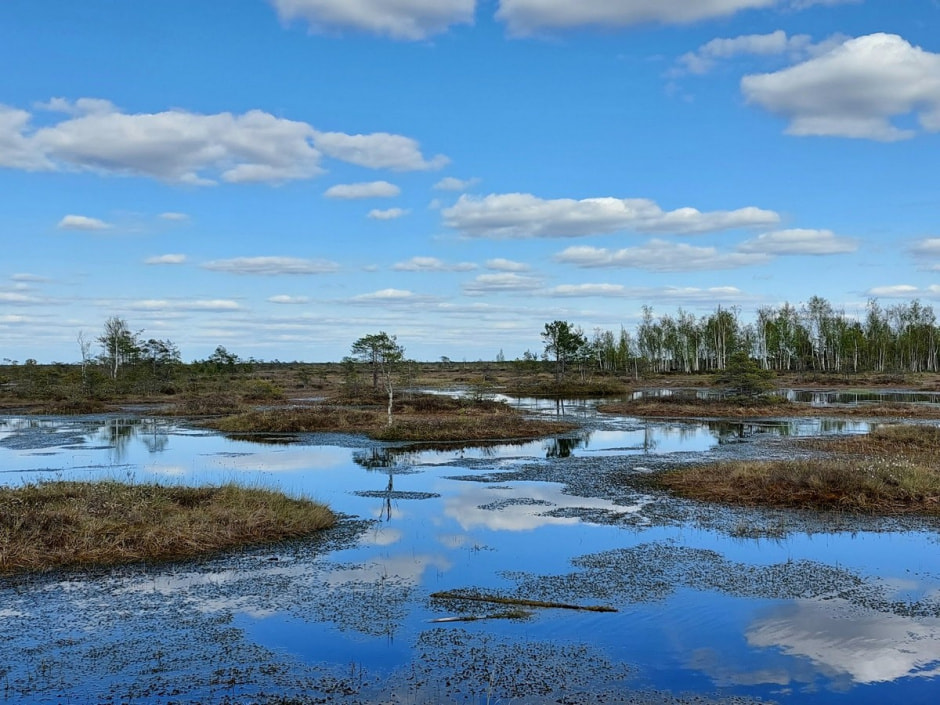 Поход на Ельню 17.jpg