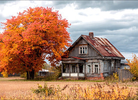 Более 10 населённых пунктов исчезли в Беларуси в 2025 году. Какие и где?