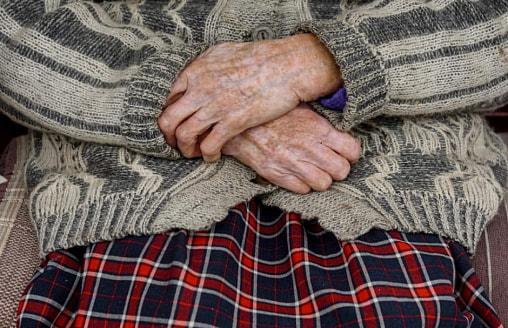 «Бабушкина схема» стала термином 2025 года по версии «Грамоты»