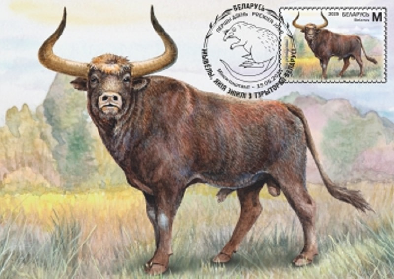 Марка - тур.jpg