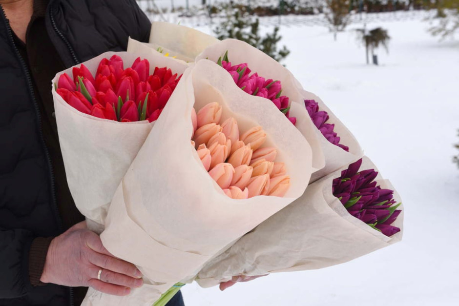 Как на Полесье выращивают тюльпаны 7.jpg