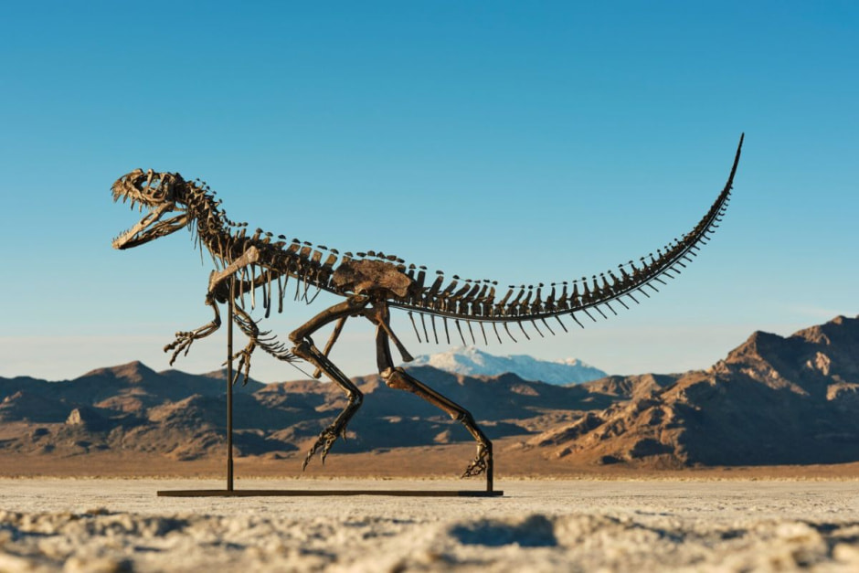 Скелет динозавра