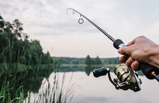 Штраф 810 рублей за особь. В Беларуси на полтора месяца запретят ловить одну из популярных рыб