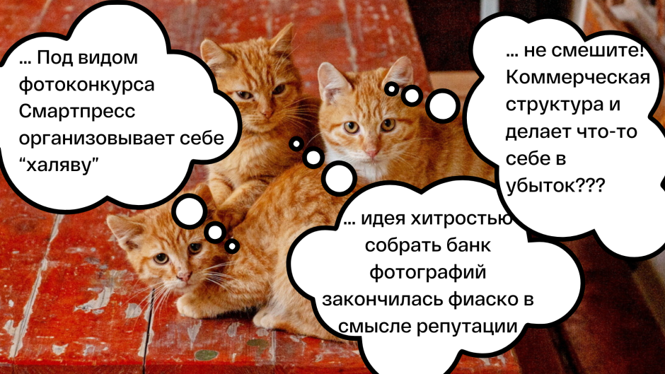 Хейт факапы отмена - чем это грозит бизнесу и как выруливать7.png