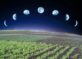 Ученые: сутки на Земле будут длиться 1,5 месяца. Это когда?