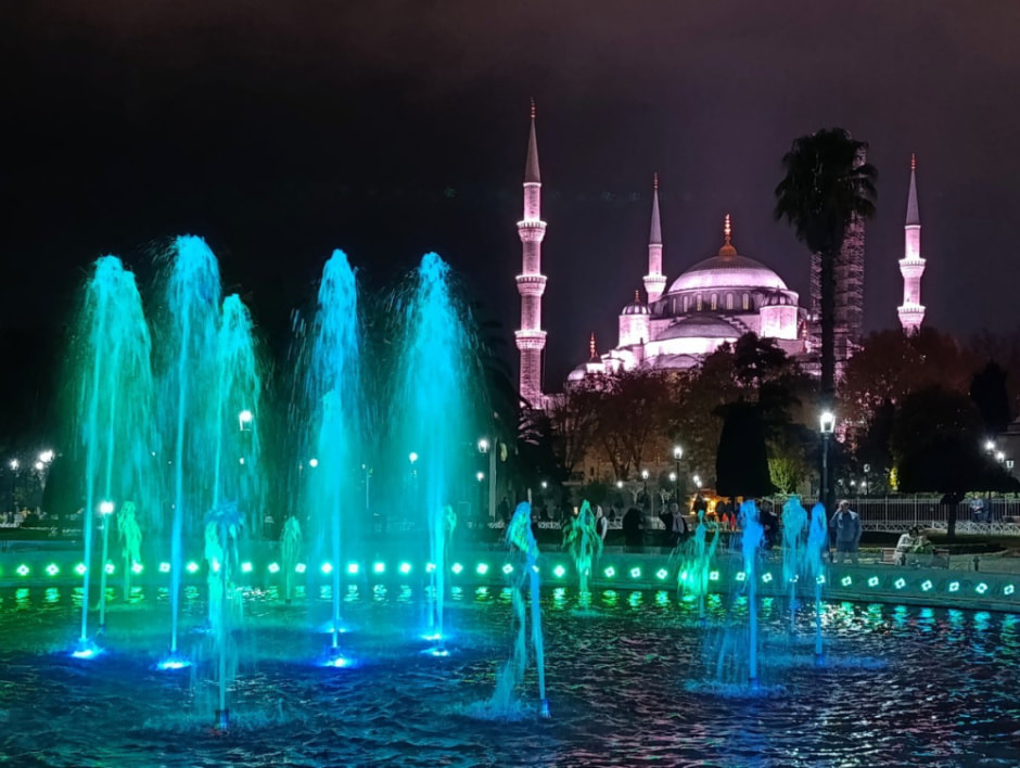 Гуляем по Стамбулу и знакомимся с котами 6.jpg