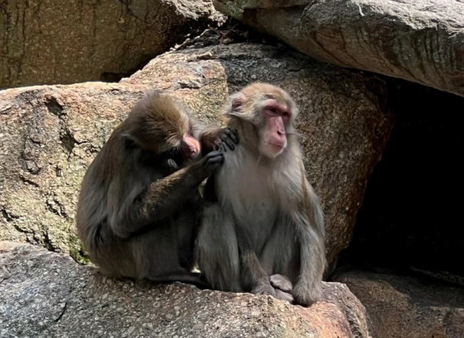 Берлинский зоопарк .jpg