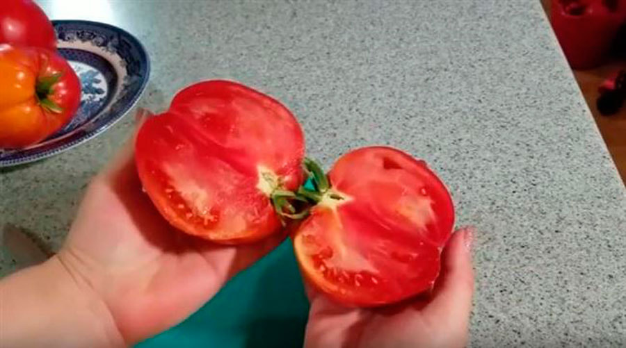 томаты2.jpg томаты2.jpg