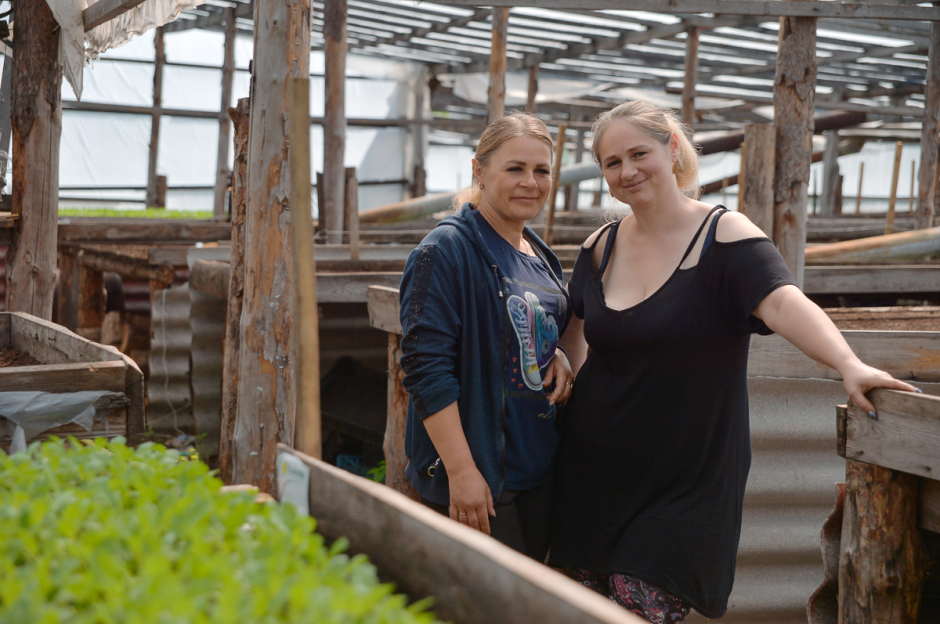 Две семьи выращивают огурцы и клубнику 12.png