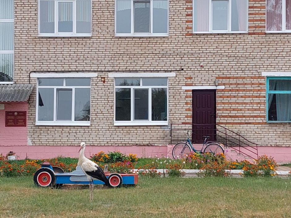 Аист в детском саду 15.jpg