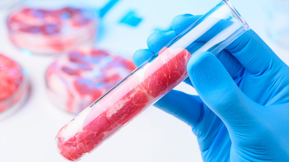 Мясо из пробирки..jpg