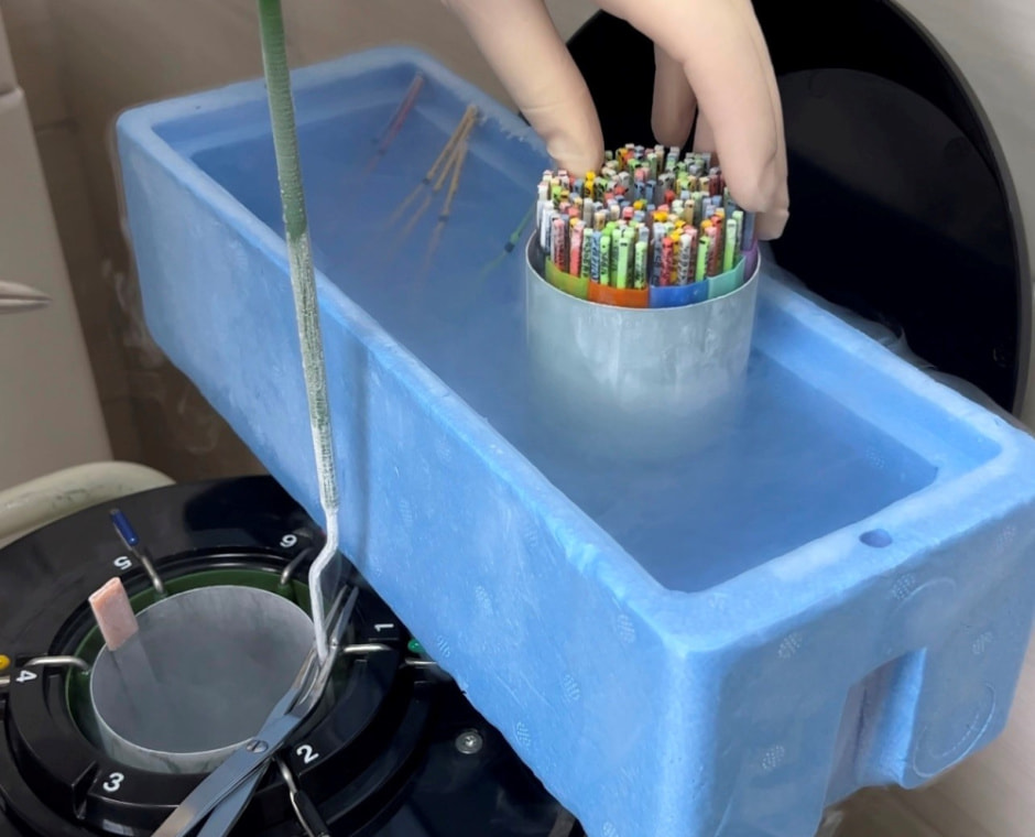 Заморозка яйцеклеток и спермы в Беларуси 4.jpg