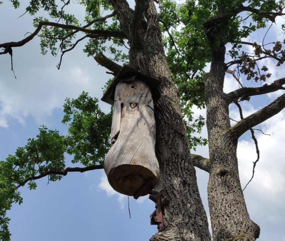 Дзед Янкель и его история 3.jpg