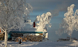 Какой минус действительно страшен для сада и огорода зимой – и каких заморозков бояться дачнику