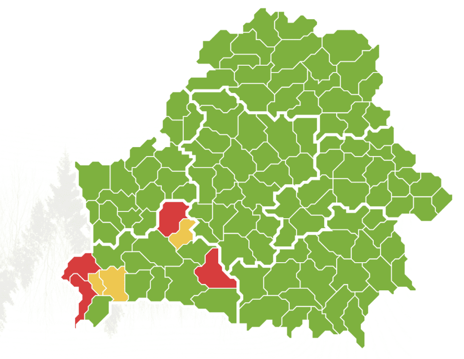 карта лес.png