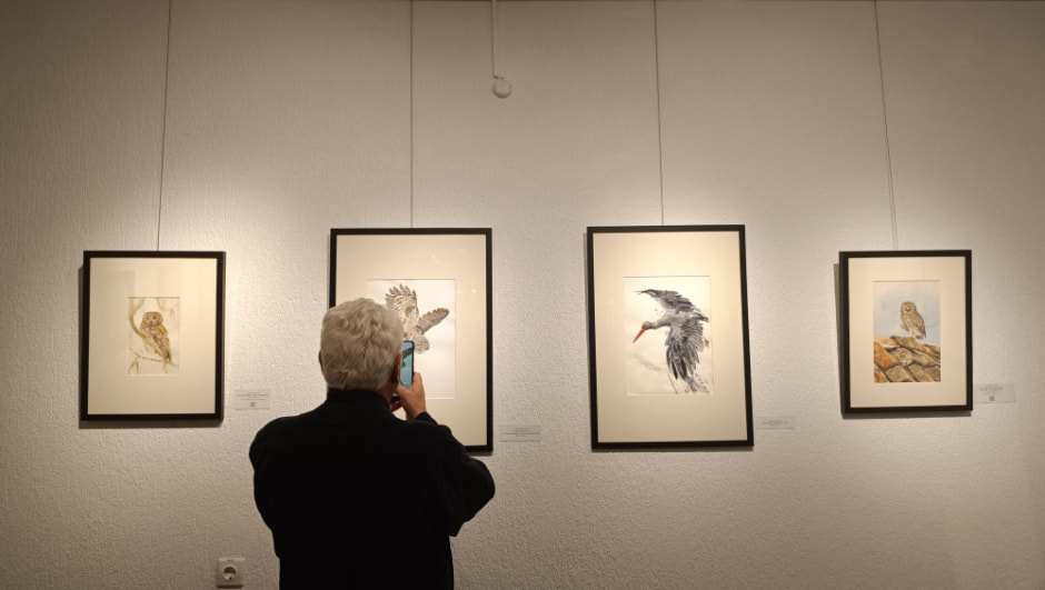 IMG_20241102_163009.jpg IMG_20241102_163009.jpg