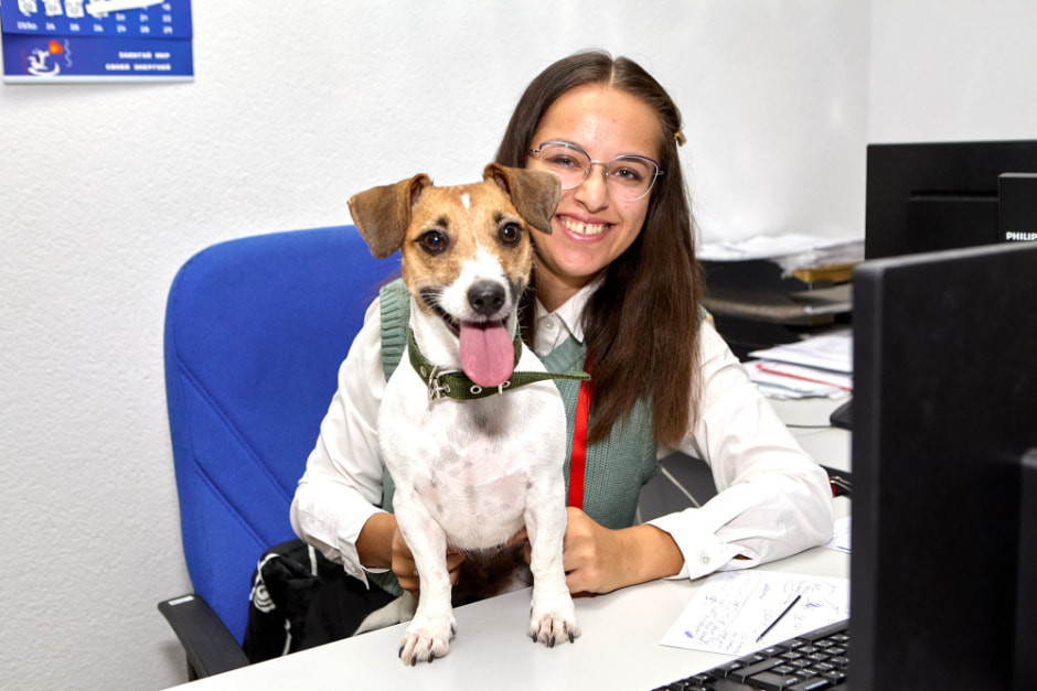 Мтбанк звери 4.jpg