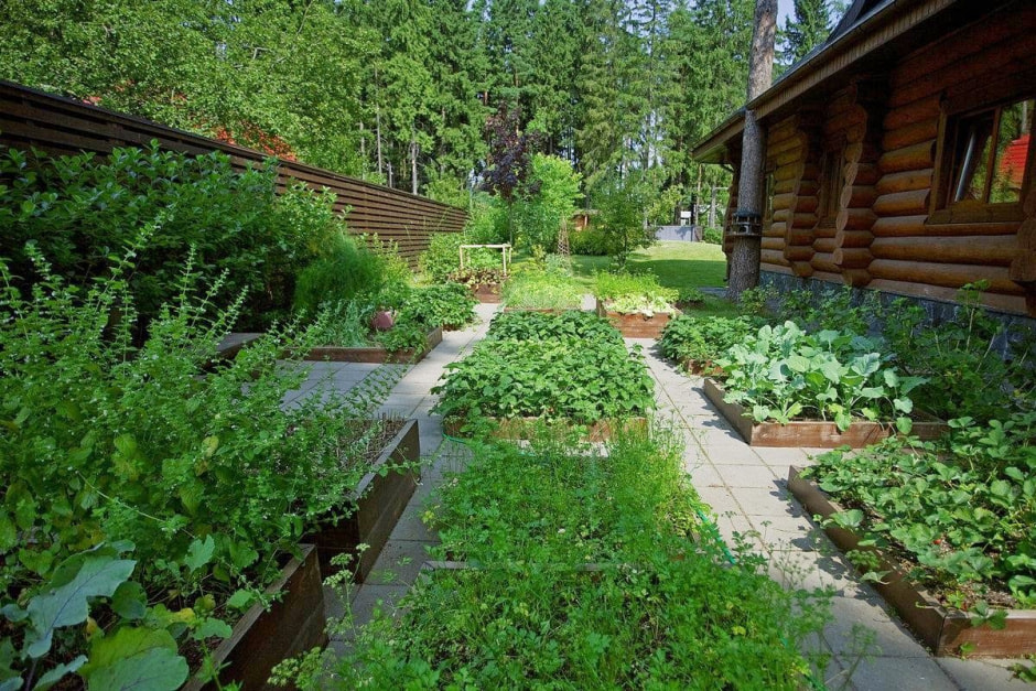 Планируем участок перед дачным сезоном 5.jpg