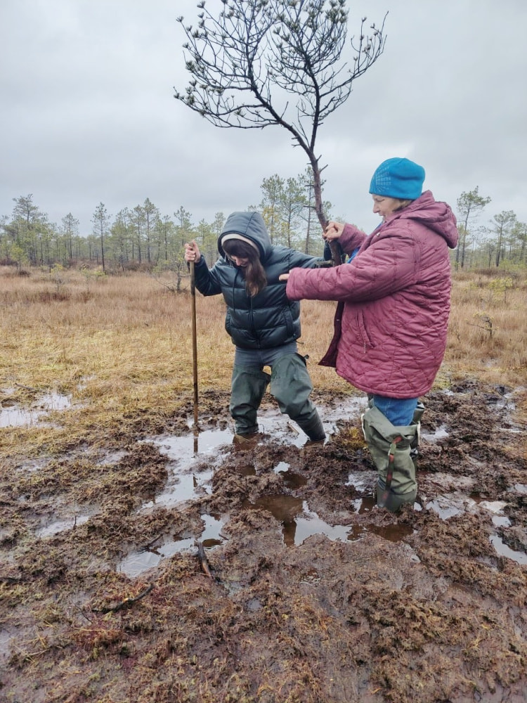 Проводник по болоту Кася 20.jpg