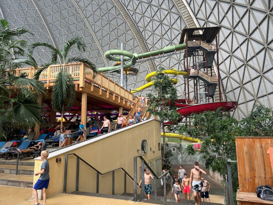 Крытый тропический лес 16.jpg