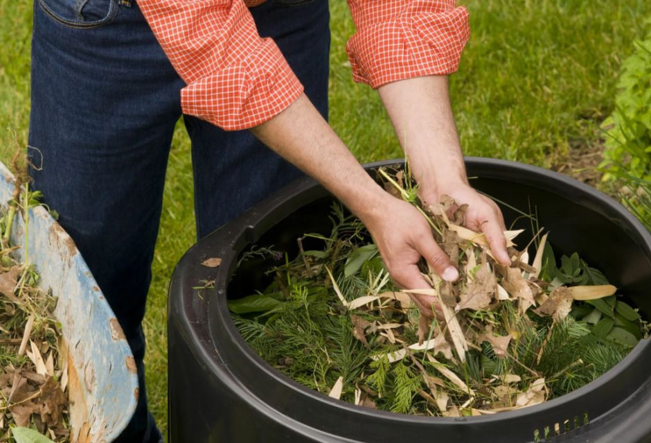 photo_2025-11-15_12-08-37 (2).jpg