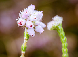 Станет лучше? Прогноз на 28 апреля в Беларуси