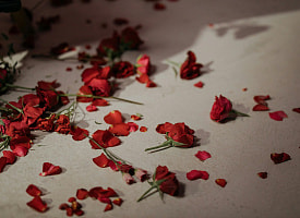Никаких лепестков: в загсе рассказали, почему запрещают осыпать молодоженов