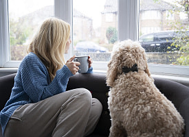 Будет ли зима: синоптики рассказали о погоде в Беларуси 8 декабря