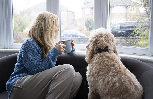 Будет ли зима: синоптики рассказали о погоде в Беларуси 8 декабря
