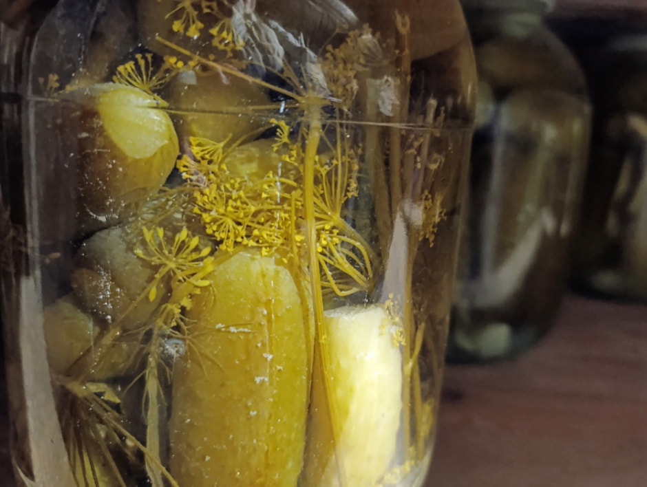 Пара из деревни Обруб 19.jpg