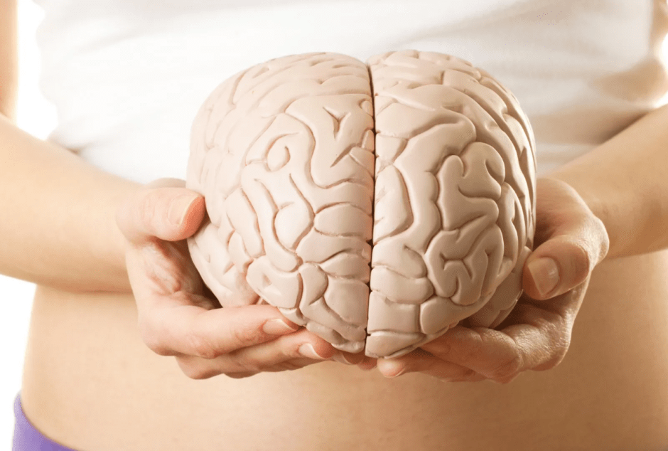 мозговая активность