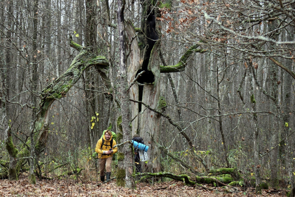 Заказник Выгонощанское 14.png