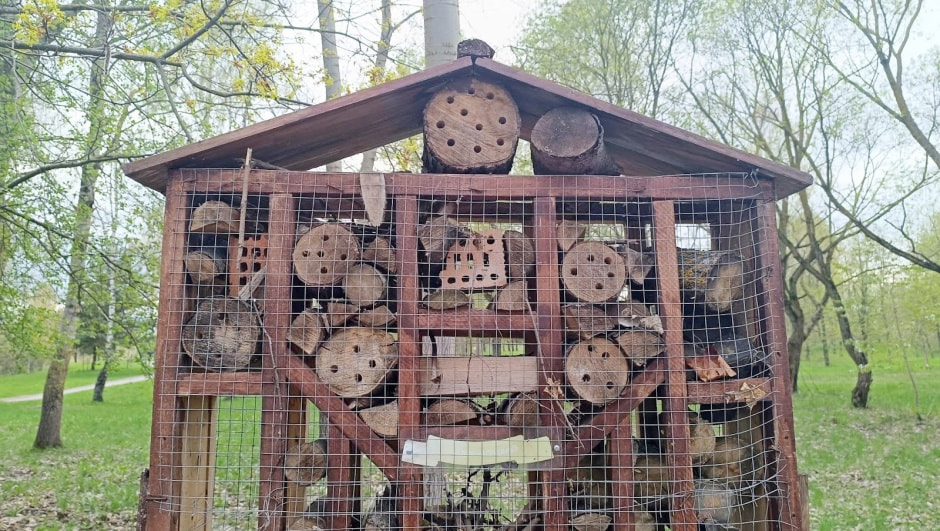 Топ-5 экотроп Минска 28_Малявки.jpg