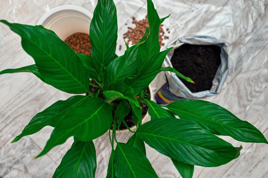 photo_2025-01-05_14-16-09 (3).jpg photo_2025-01-05_14-16-09 (3).jpg