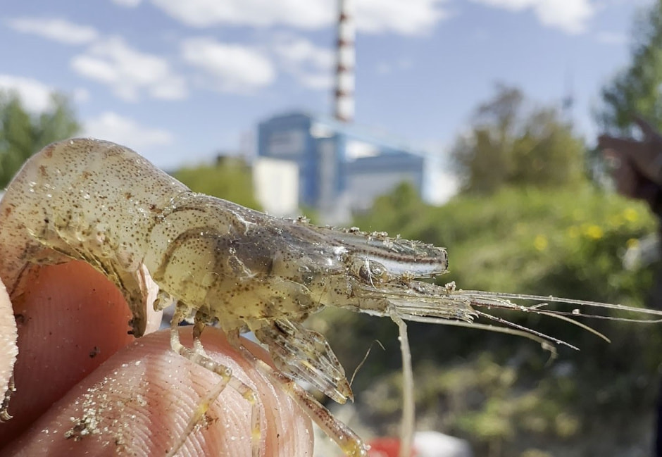 Блогеры-путешественники Беларусь 360 10.jpg