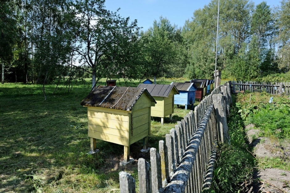 Долгожители из деревни Куты 17.jpg