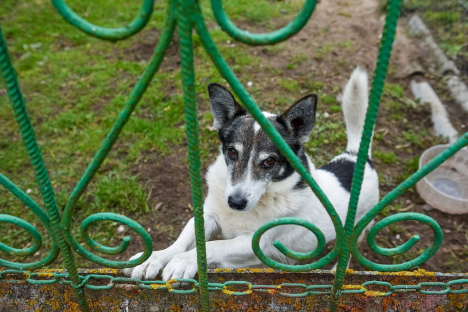 Бабушки Броня и Тэня из деревни Вигушки 9.jpg