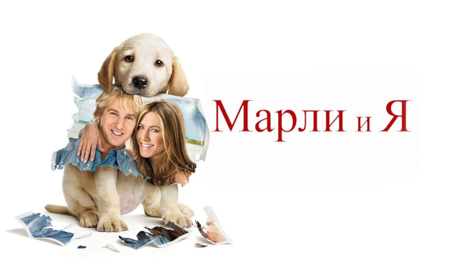 марли.jpg