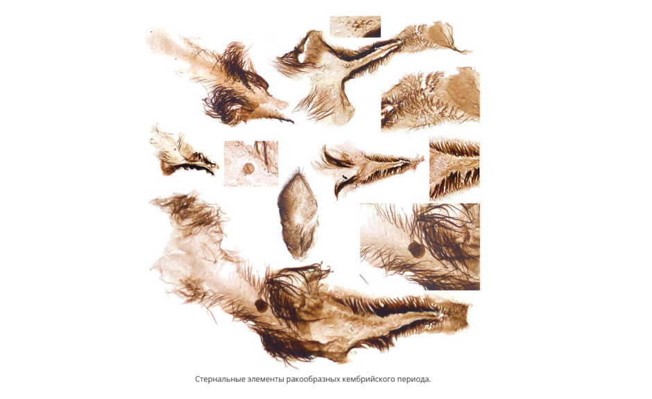 архоологические находки Большого каньона