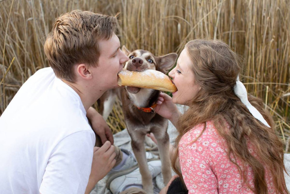 Переезд с животными 6.jpg