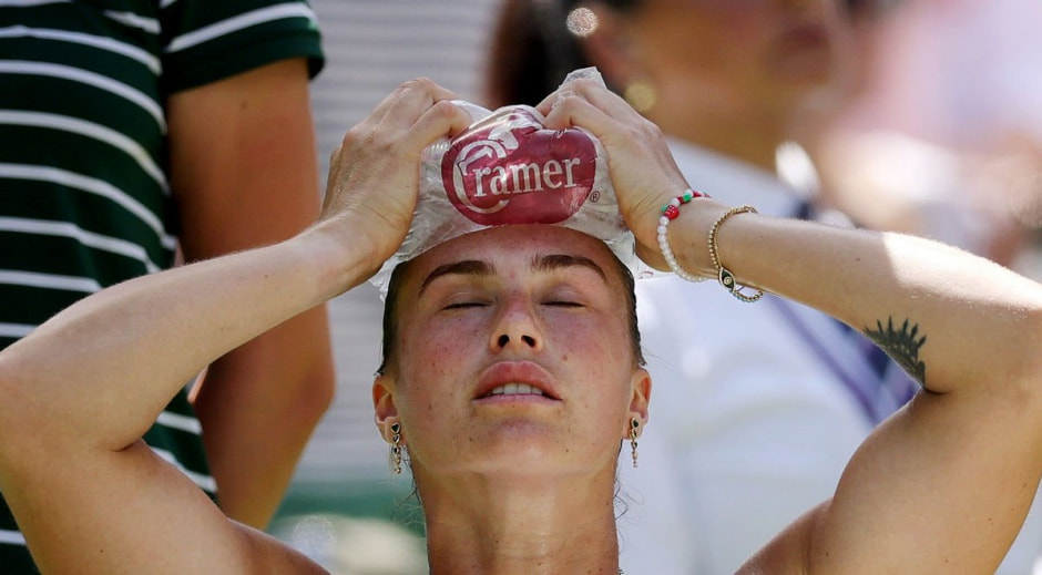 Соболенко отпуск