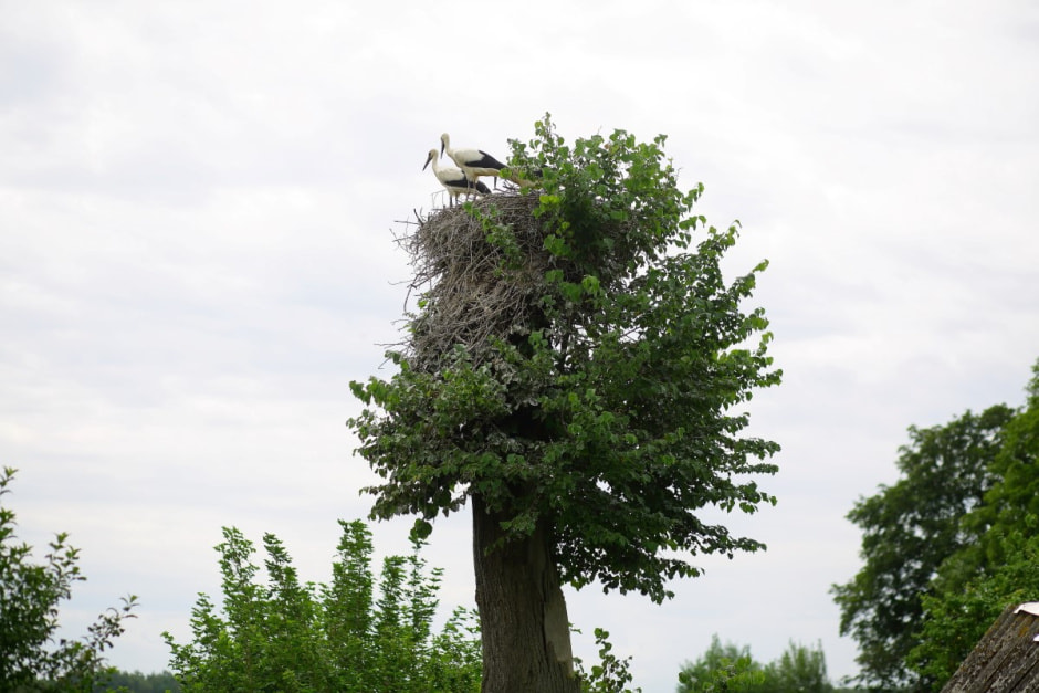 Падарожніца па вёсках на ровары 25.jpg