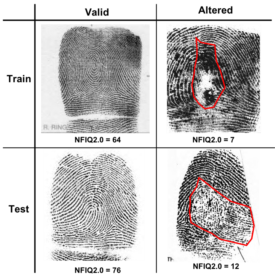 отпечатки пальцев2
