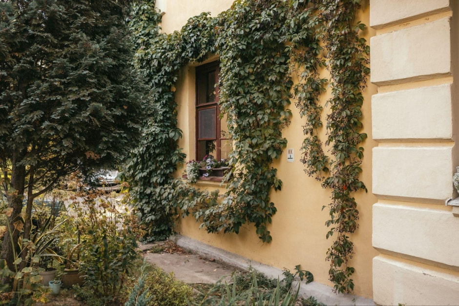 13-Уютный и зеленый двор Осмоловки.jpg