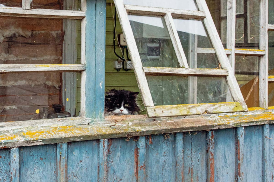 Алесь Лось и народные инструменты 3.jpg Алесь Лось и народные инструменты 3.jpg