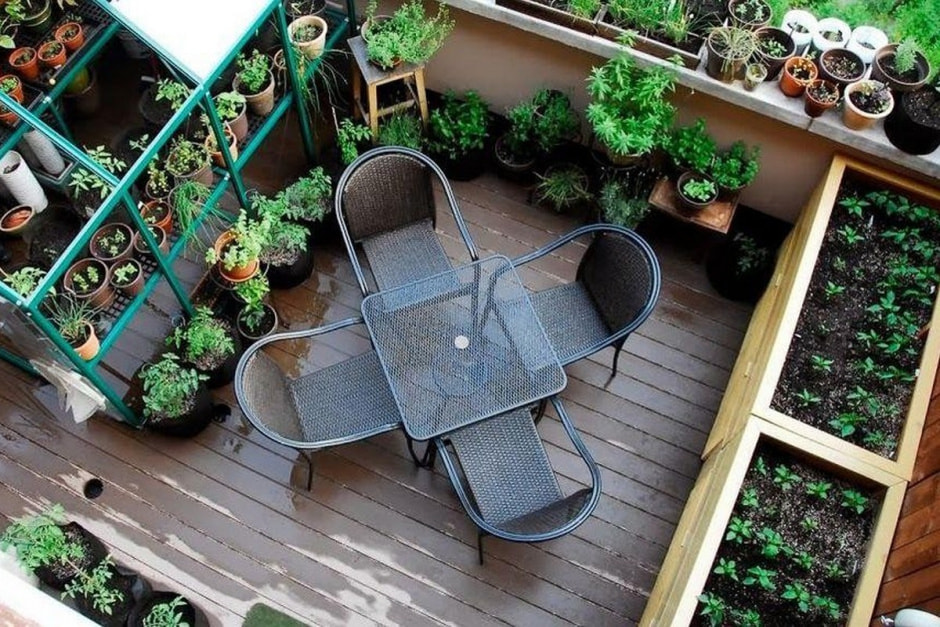 Огород на балконе 3.jpg